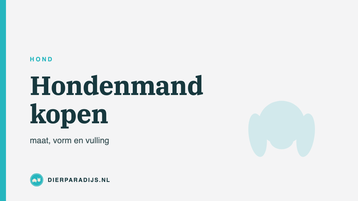 Hondenmand kopen: zo bepaal je de juiste maat, vorm en vulling