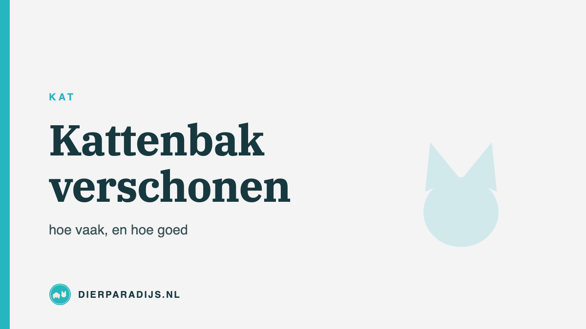 Kattenbak verschonen: hoe vaak en hoe doe je het goed