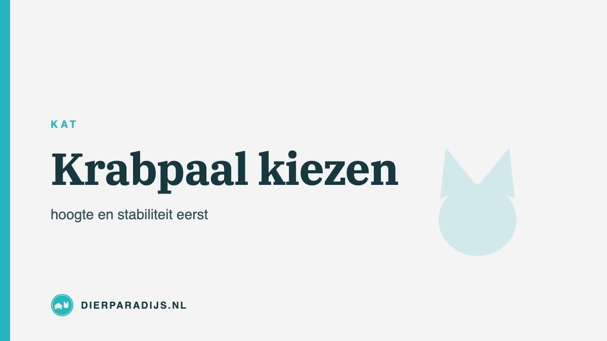 Krabpaal kiezen: waarom hoogte en stabiliteit belangrijker zijn dan de prijs