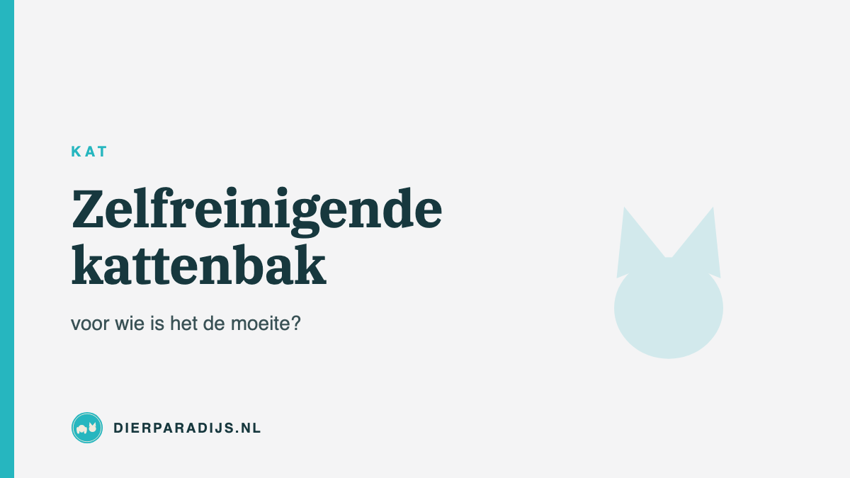 Zelfreinigende kattenbak: voor wie is het de moeite waard?